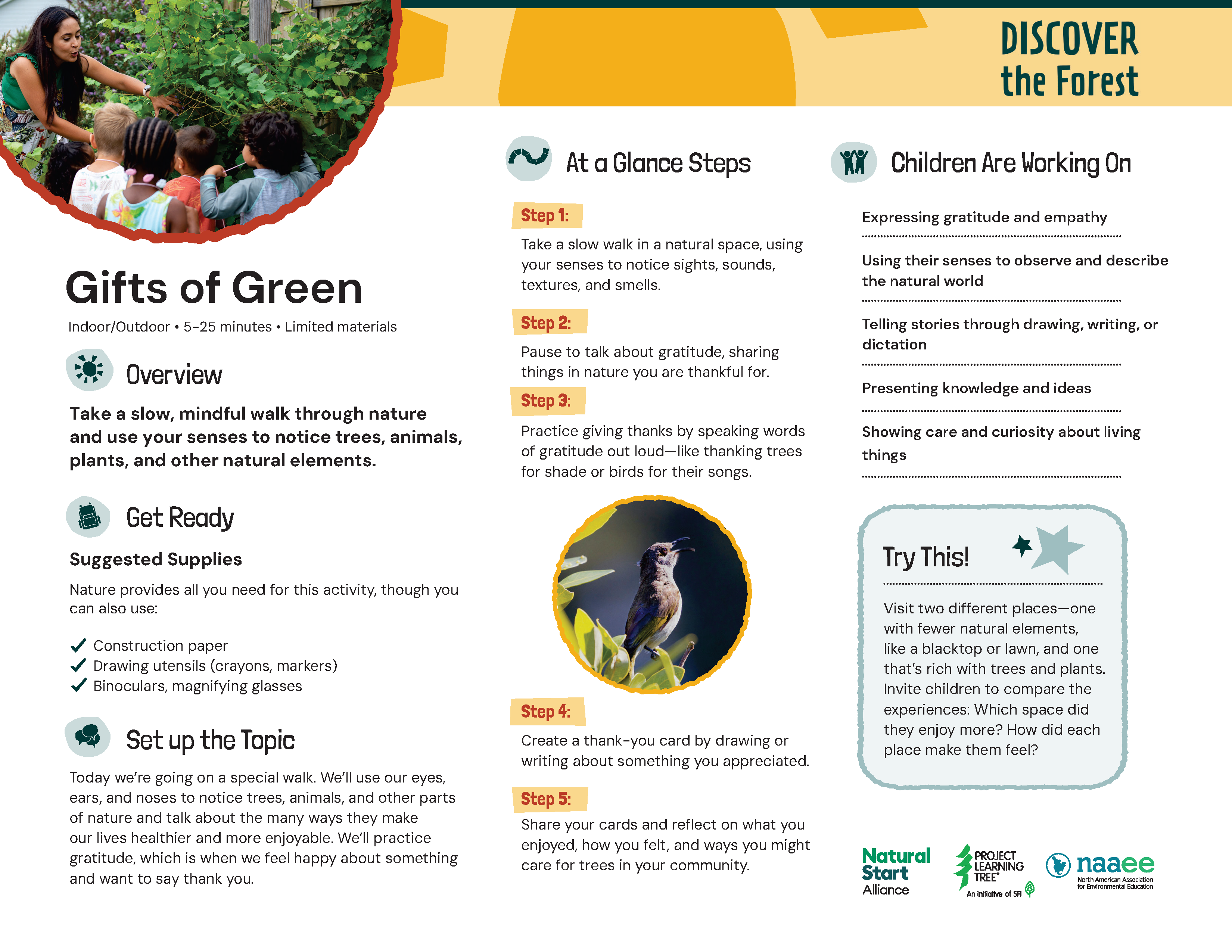 Gifts of Green preview